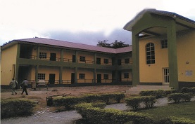 Our Services